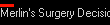 Merlin's Surgery Decision