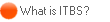 What is ITBS?